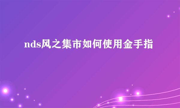 nds风之集市如何使用金手指