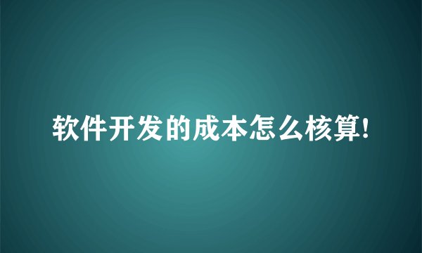 软件开发的成本怎么核算!