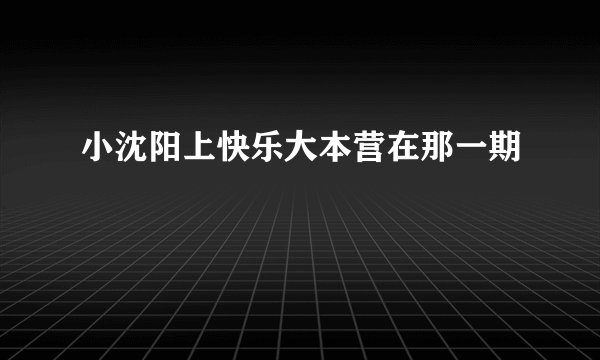 小沈阳上快乐大本营在那一期