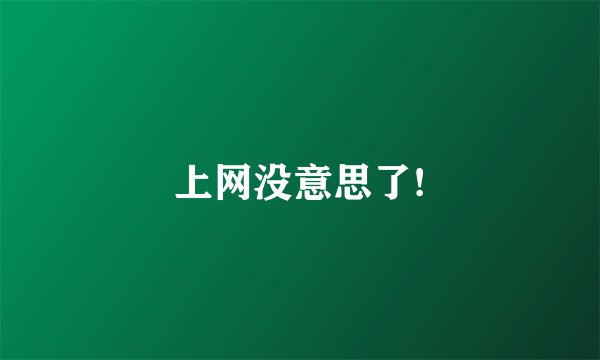 上网没意思了!