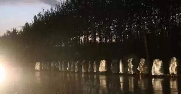 中国真正尼姑 看得我心头一震(组图)