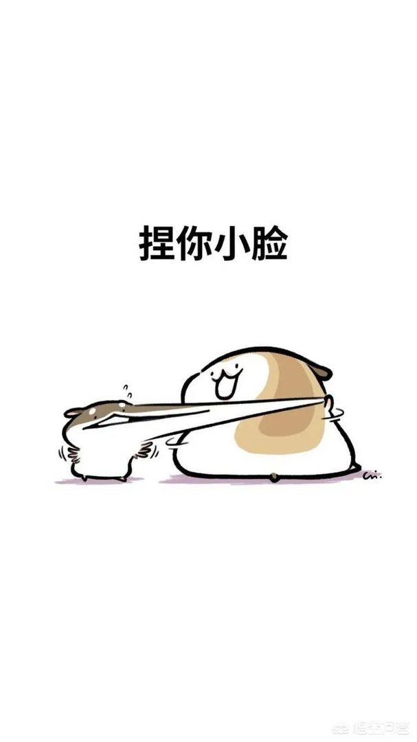 有哪些搞笑的手机壁纸?