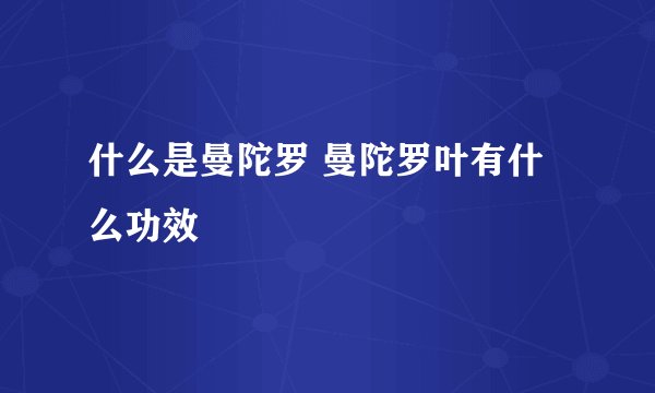 什么是曼陀罗 曼陀罗叶有什么功效