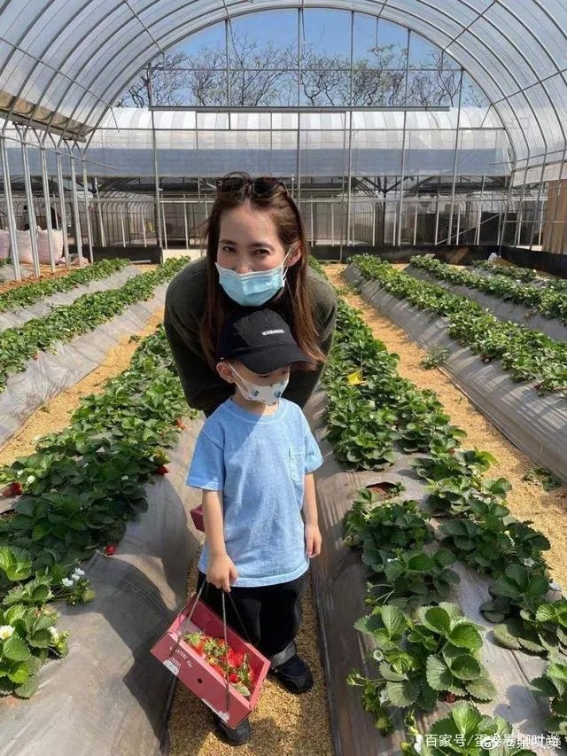 余文乐老婆晒孕照,距生产7周时肚子却仍平坦,女儿早产仅1斤重吗?