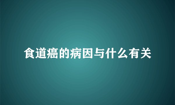 食道癌的病因与什么有关