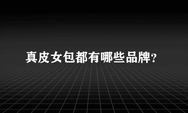 真皮女包都有哪些品牌?