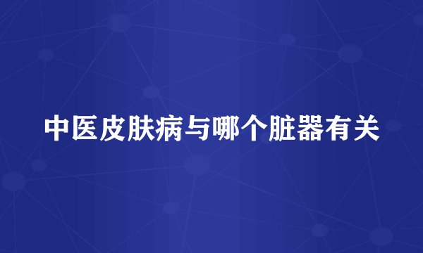 中医皮肤病与哪个脏器有关