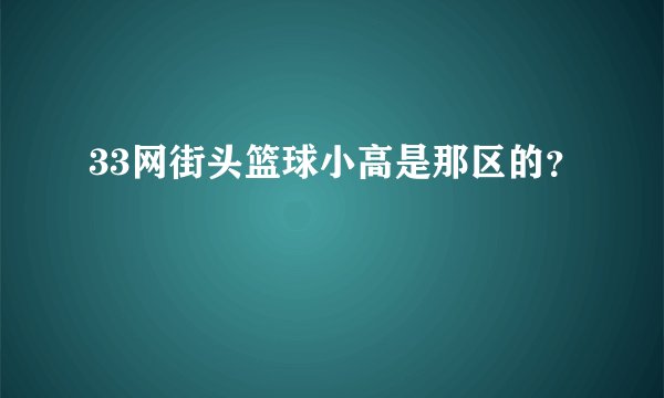 33网街头篮球小高是那区的？
