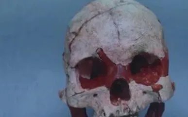 16000年前的人头骨化石是在哪里发现的?如何发现的?