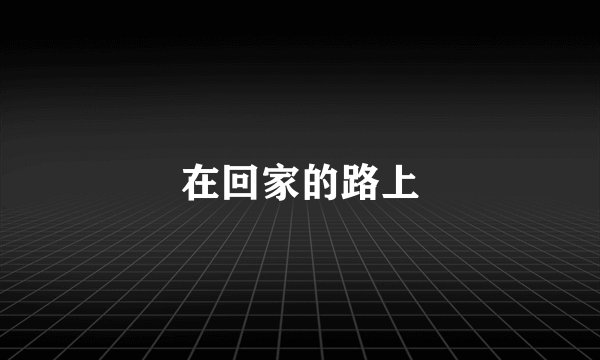 在回家的路上