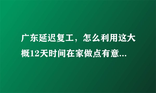 广东延迟复工，怎么利用这大概12天时间在家做点有意义的事情？