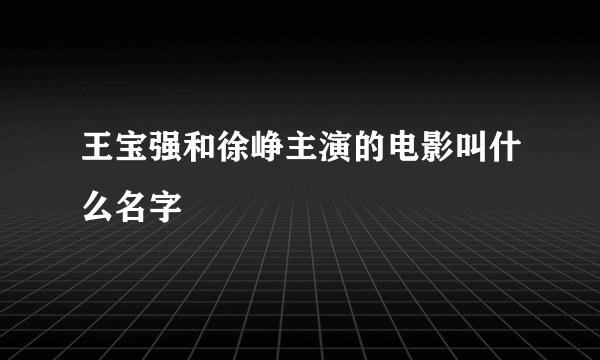 王宝强和徐峥主演的电影叫什么名字
