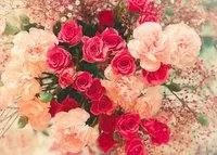36朵玫瑰花代表什么意思?