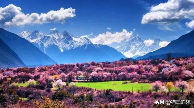 张昕宇梁红怎么起家的?他们为什么能够持续不断的旅行?