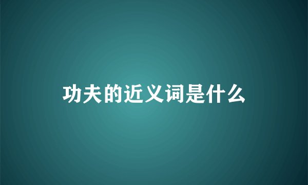 功夫的近义词是什么