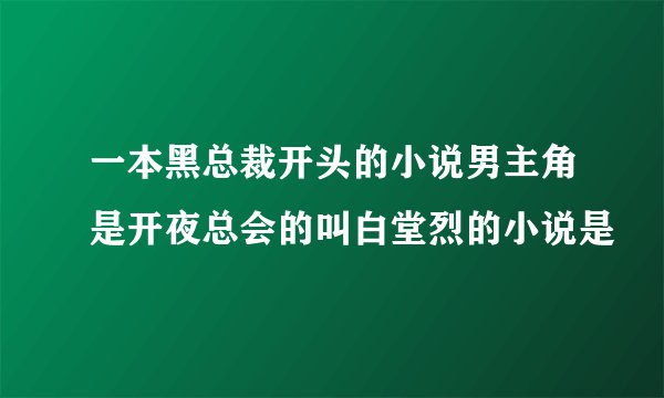 一本黑总裁开头的小说男主角是开夜总会的叫白堂烈的小说是