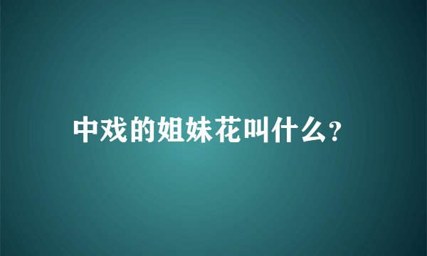 中戏的姐妹花叫什么？