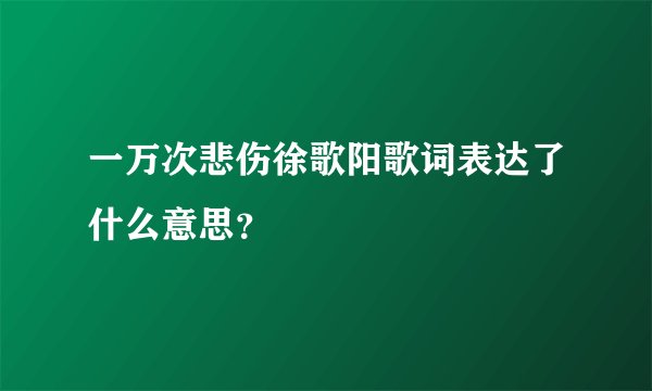 一万次悲伤徐歌阳歌词表达了什么意思？