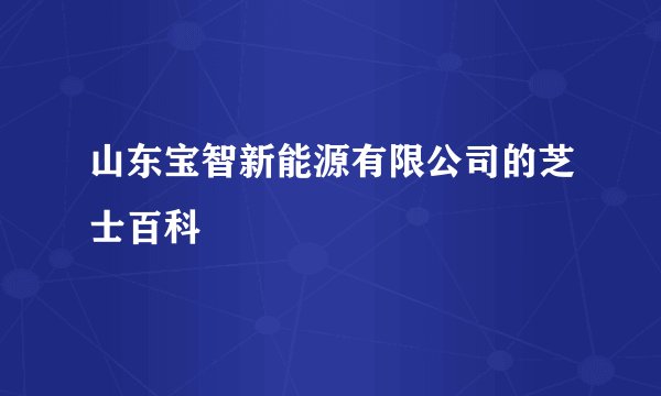 山东宝智新能源有限公司的芝士百科