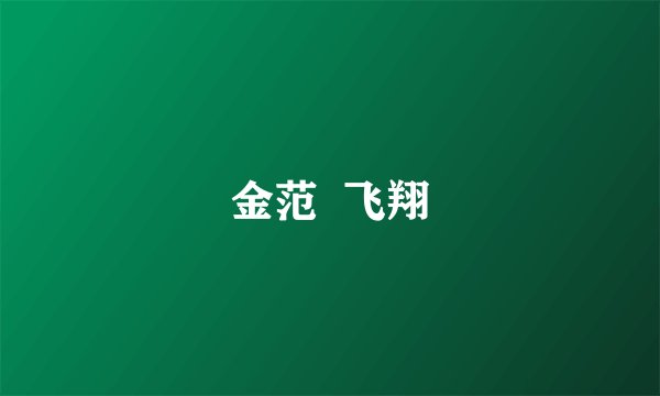 金范  飞翔