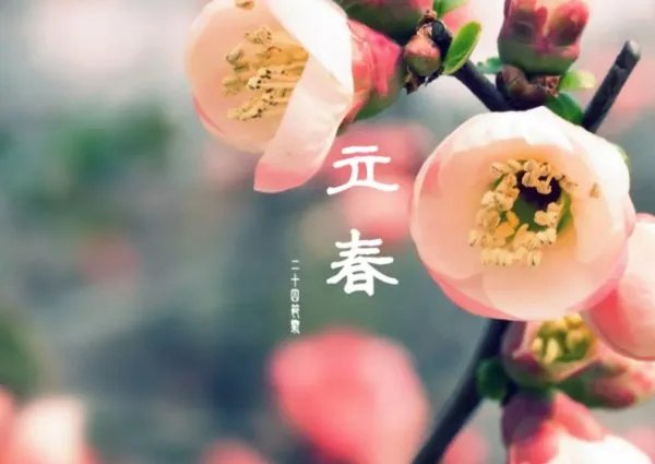 几点立春？