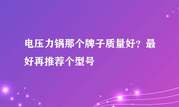 电压力锅那个牌子质量好？最好再推荐个型号