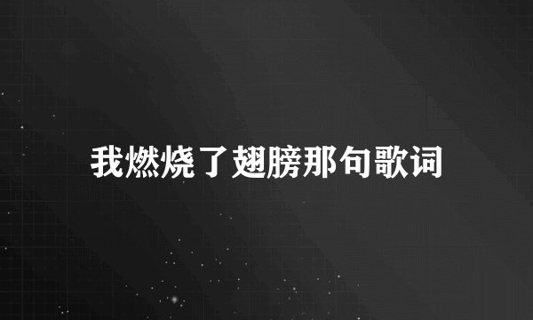 我燃烧了翅膀那句歌词