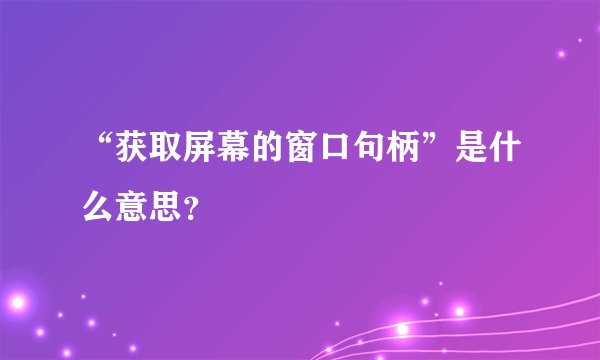 “获取屏幕的窗口句柄”是什么意思？