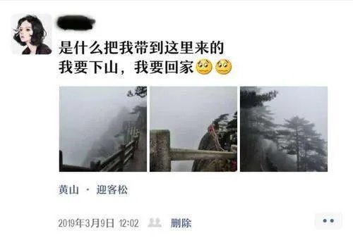 黄山爬到一半想回家进退两难,对此你有何看法?