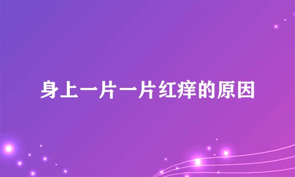 身上一片一片红痒的原因