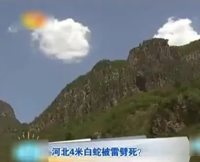 云梦山白蛇渡劫失败被雷劈死:竟被野猪吃掉