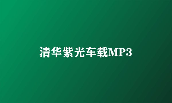 清华紫光车载MP3