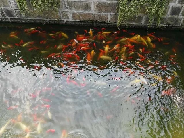 豫园 好玩吗