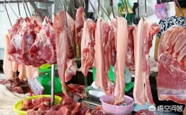 9月4日猪价:东北全线下跌,算是新一轮下跌的信号吗?