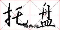 托盘