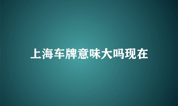 上海车牌意味大吗现在