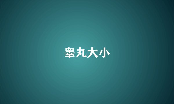 睾丸大小
