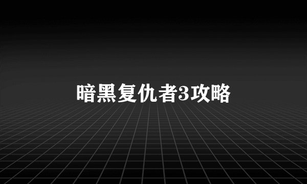 暗黑复仇者3攻略