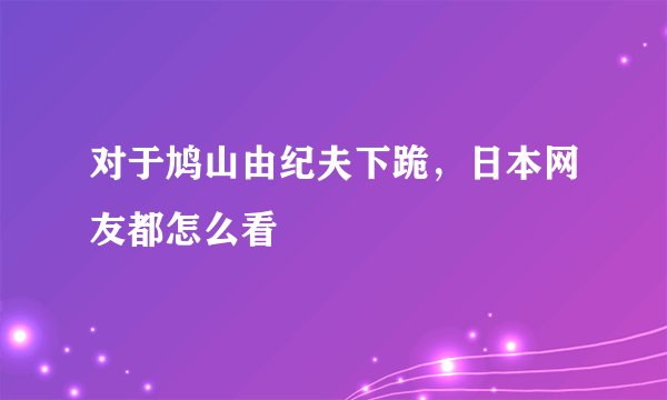 对于鸠山由纪夫下跪，日本网友都怎么看