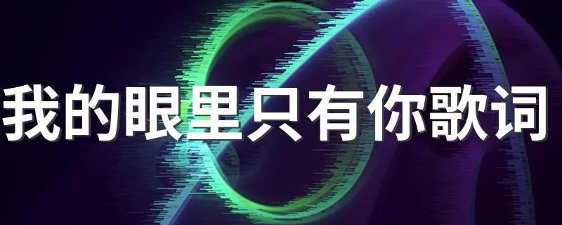 我的眼里只有你歌词 完整版歌词