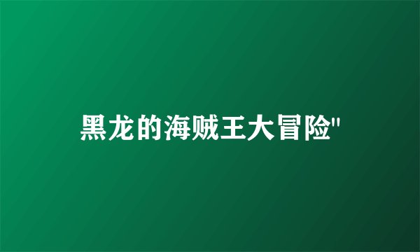 黑龙的海贼王大冒险