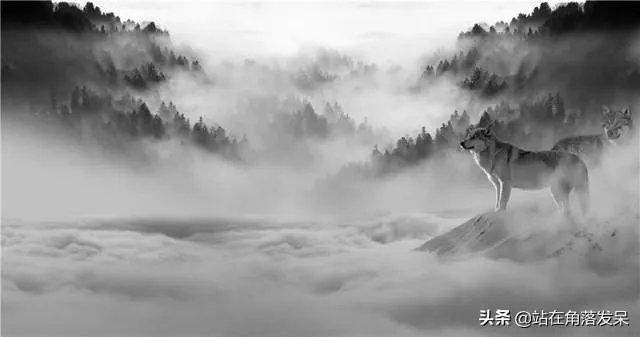 会挽雕弓如满月西北望射天狼这句话运用什么手法?表达作者怎样的志向？