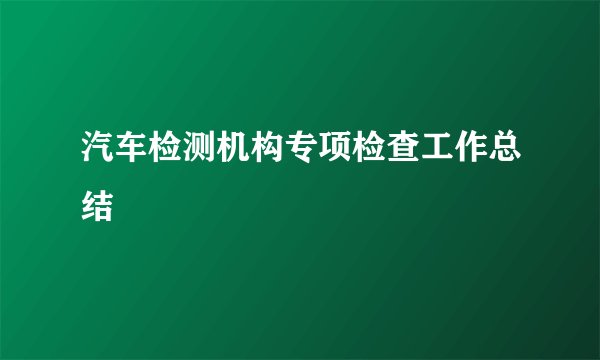 汽车检测机构专项检查工作总结