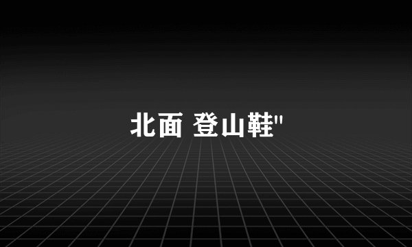 北面 登山鞋