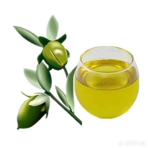 纯天然的护肤品牌都有哪些?