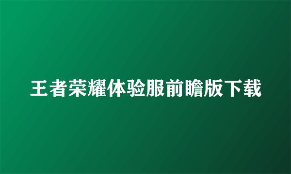 王者荣耀体验服前瞻版下载
