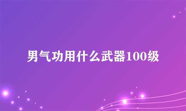 男气功用什么武器100级