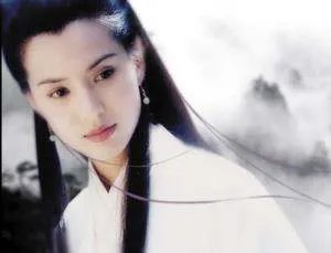 李若彤演过的电视剧有哪些?