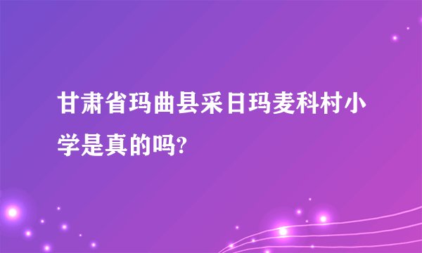 甘肃省玛曲县采日玛麦科村小学是真的吗?