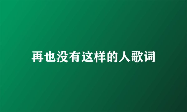 再也没有这样的人歌词